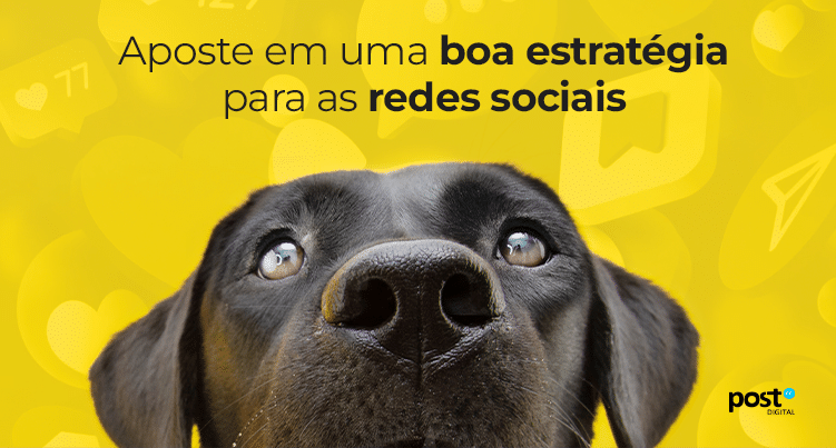 Aposte em uma boa estratégia para as redes sociais